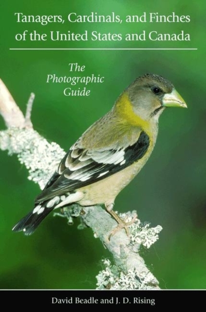 Tanagers, Cardinals, and Finches of the United States and Canada : The Photographic Guide, Paperback / softback Book