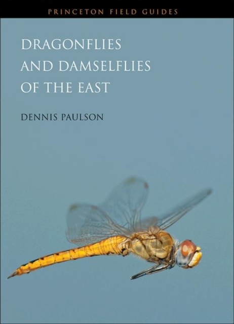 Dragonflies and Damselflies of the East, Hardback Book