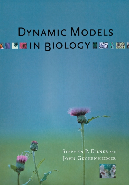 Dynamic Models in Biology, Paperback / softback Book
