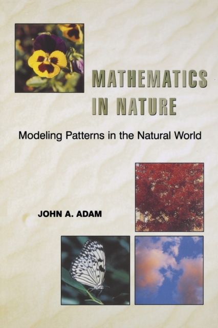 Mathematics in Nature : Modeling Patterns in the Natural World, Paperback / softback Book Mathematics in Nature : Modeling Patterns in the Natural World, Paperback / softback Book