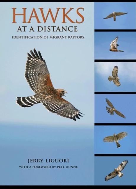 Hawks at a Distance : Identification of Migrant Raptors, Paperback / softback Book
