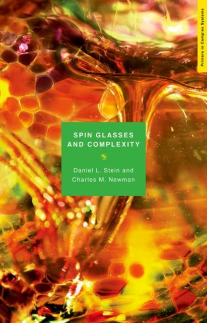 Spin Glasses and Complexity, Paperback / softback Book