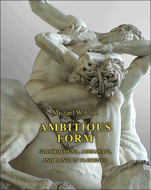 Ambitious Form : Giambologna, Ammanati, and Danti in Florence, Hardback Book