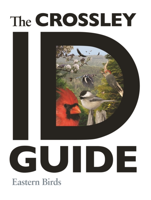 The Crossley ID Guide : Eastern Birds, Paperback / softback Book
