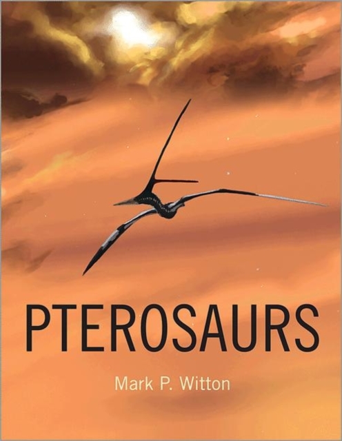 Pterosaurs : Natural History, Evolution, Anatomy, Hardback Book