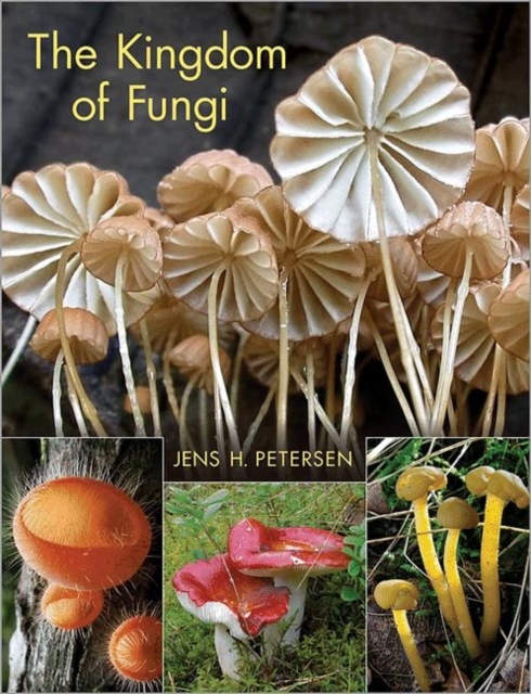 The Kingdom of Fungi, Hardback Book