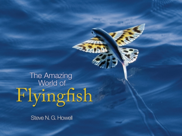 The Amazing World of Flyingfish, Hardback Book