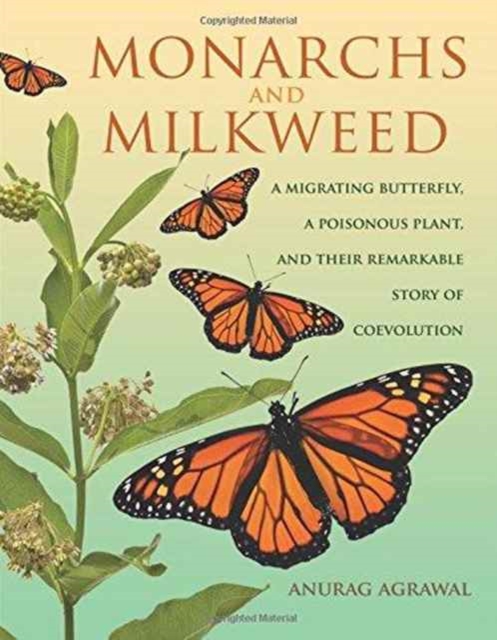 Monarchs and Milkweed : A Migrating Butterfly, a Poisonous Plant, and Their Remarkable Story of Coevolution, Hardback Book