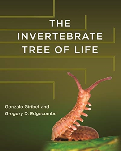 The Invertebrate Tree of Life, Hardback Book
