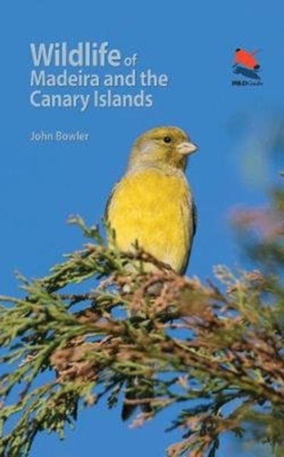 Wildlife of Madeira and the Canary Islands : A Photographic Field Guide to Birds, Mammals, Reptiles, Amphibians, Butterflies and Dragonflies, Paperback / softback Book