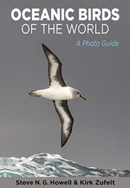 Oceanic Birds of the World : A Photo Guide, Paperback / softback Book
