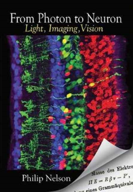 From Photon to Neuron : Light, Imaging, Vision, Hardback Book