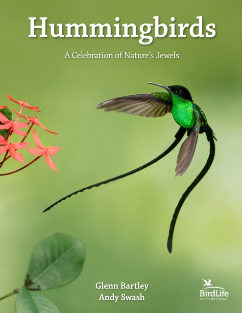 Hummingbirds : A Celebration of Nature's Jewels, Hardback Book