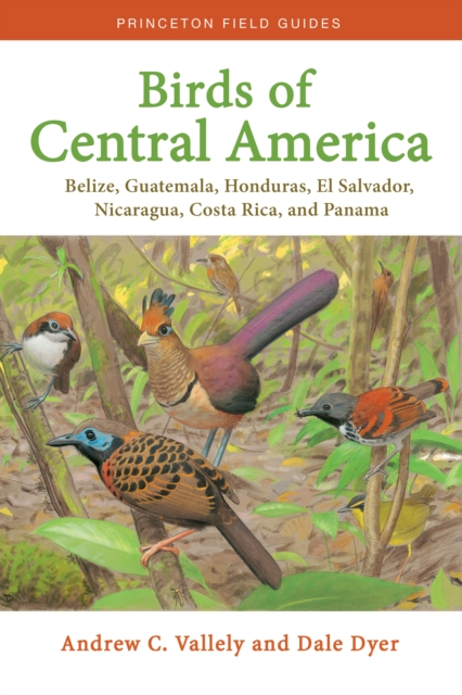 Birds of Central America : Belize, Guatemala, Honduras, El Salvador, Nicaragua, Costa Rica, and Panama, PDF eBook