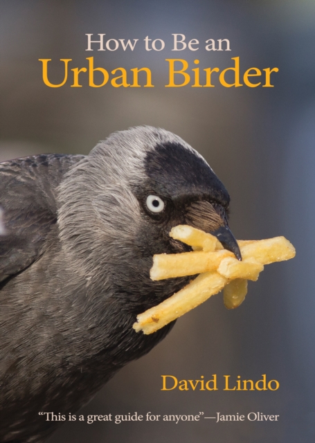 How to Be an Urban Birder, EPUB eBook