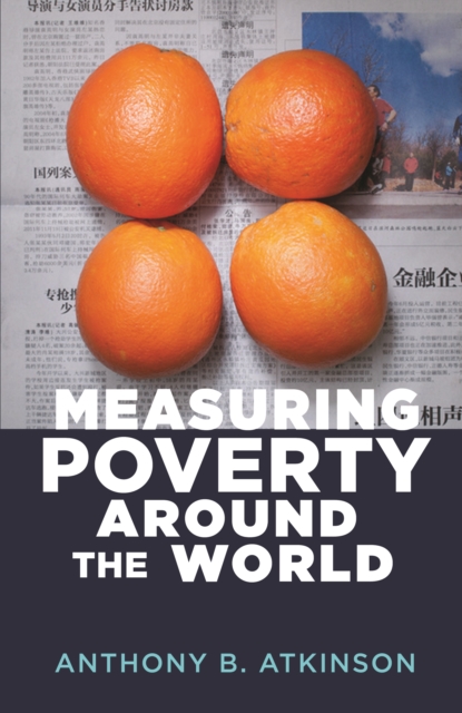 Measuring Poverty around the World, EPUB eBook