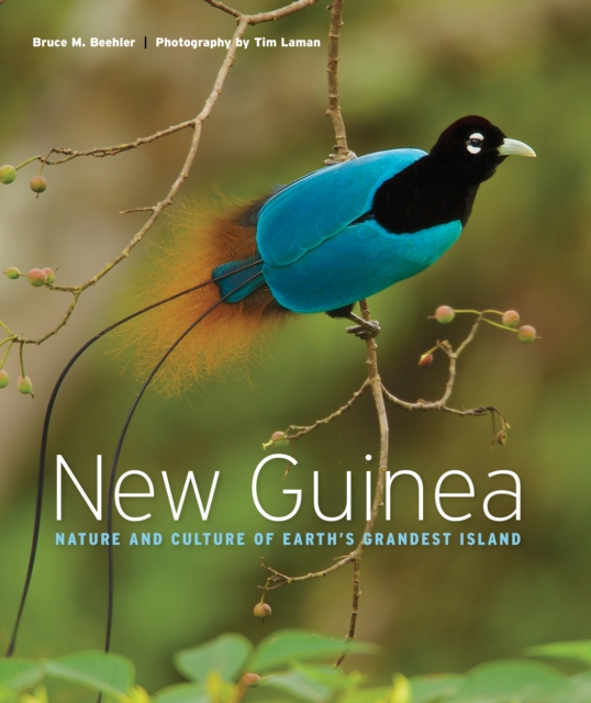 New Guinea : Nature and Culture of Earth's Grandest Island, EPUB eBook