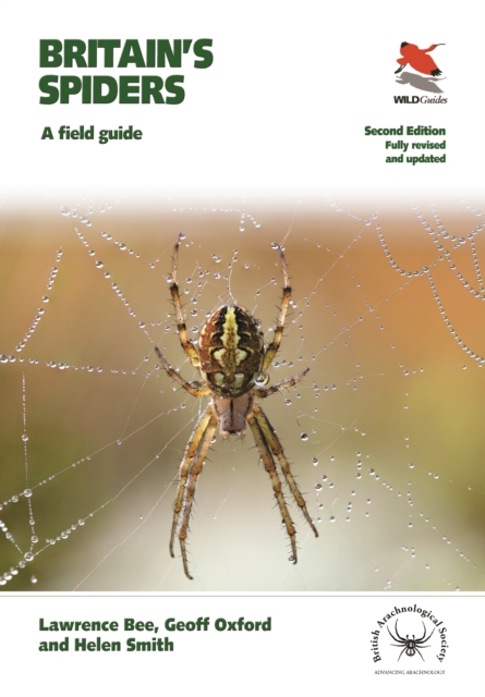 Britain's Spiders : A Field Guide - Fully Revised and Updated Second Edition, Paperback / softback Book