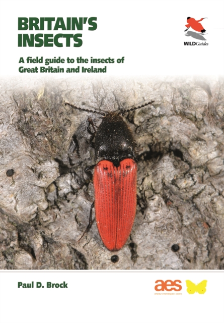 Britain's Insects : A Field Guide to the Insects of Great Britain and Ireland, PDF eBook