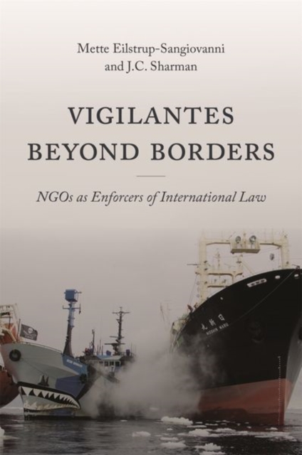 Vigilantes beyond Borders : NGOs as Enforcers of International Law, Hardback Book