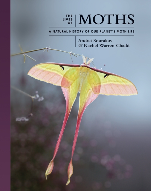 The Lives of Moths : A Natural History of Our Planet's Moth Life, PDF eBook