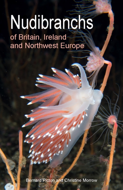 Nudibranchs of Britain, Ireland and Northwest Europe : Second Edition, PDF eBook