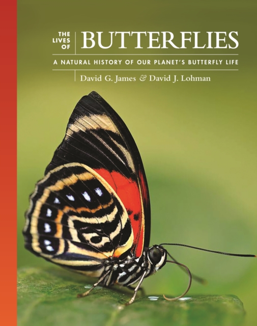 The Lives of Butterflies : A Natural History of Our Planet's Butterfly Life, Hardback Book