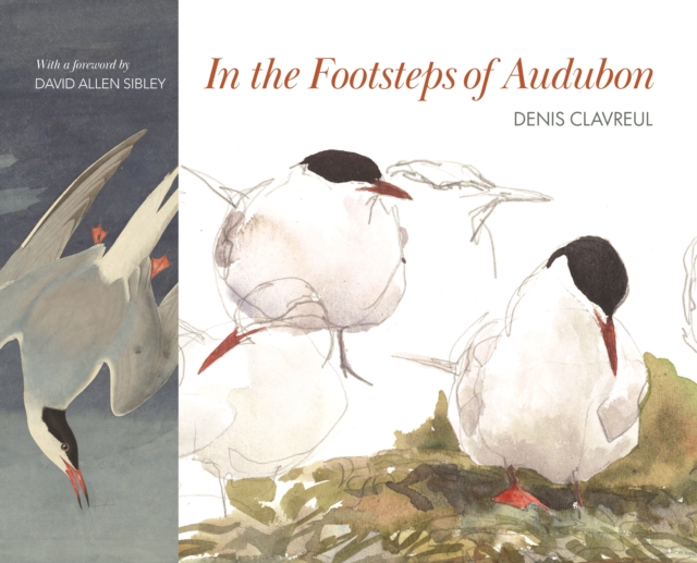 In the Footsteps of Audubon, EPUB eBook