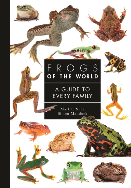 Frogs of the World : A Guide to Every Family, PDF eBook