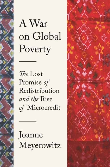 A War on Global Poverty : The Lost Promise of Redistribution and the Rise of Microcredit, Paperback / softback Book