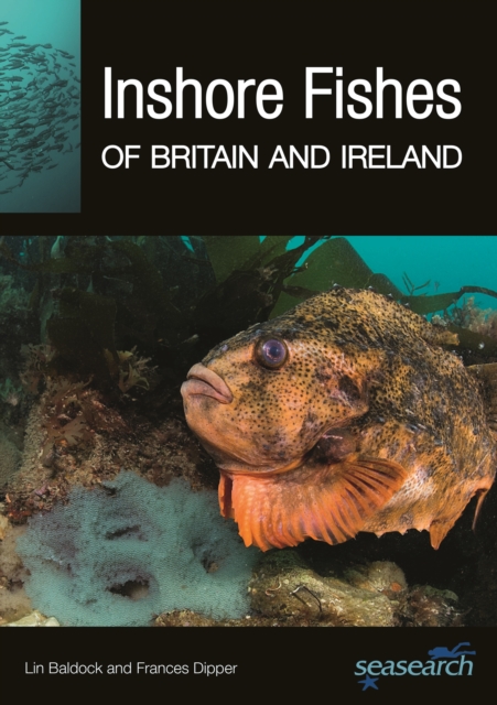 Inshore Fishes of Britain and Ireland, PDF eBook