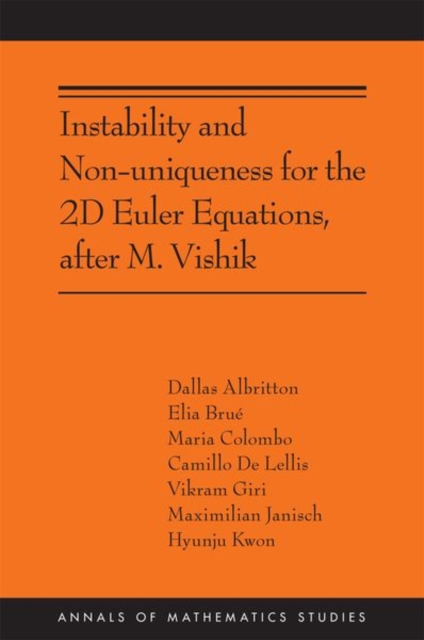 Instability and Nonuniqueness for the 2d Euler Equations, after M. Vishik : (AMS-219), Hardback Book