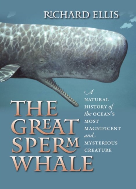 The Great Sperm Whale : A Natural History of the Ocean's Most Magnificent and Mysterious Creature, Hardback Book