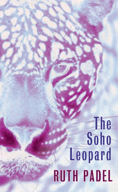 The Soho Leopard, Paperback / softback Book