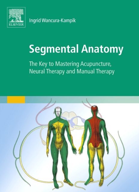 Segmental Anatomy : The Key to Mastering Acupuncture, Neural Therapy and Manual Therapy, Paperback / softback Book
