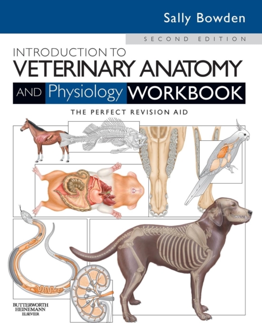 Introduction to Veterinary Anatomy and Physiology Workbook, Paperback / softback Book