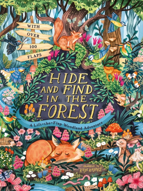 Hide and Find in the Forest: A Lift-the-Flap Woodland Adventure, Hardback Book