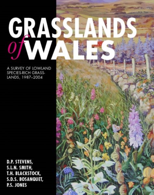 Grasslands of Wales : A Survey of Lowland Species-rich Grasslands, 1987-2004, Hardback Book