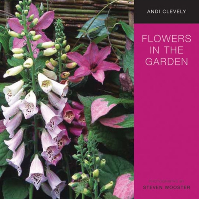 Flowers in the Garden : A Practical Guide to Planting for Colour and Fragrance All Year Round, Paperback Book