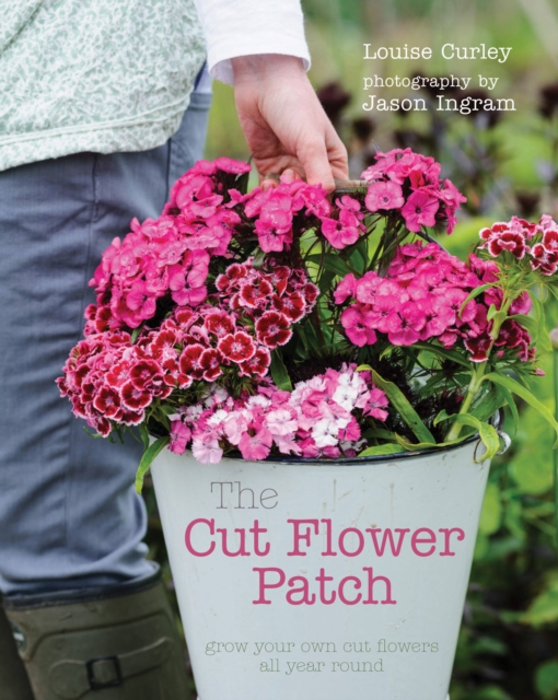 The Cut Flower Patch : Grow Your Own Cut Flowers All Year Round, Hardback Book