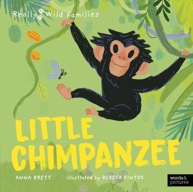 Little Chimpanzee : A Day in the Life of a Baby Chimp, Hardback Book