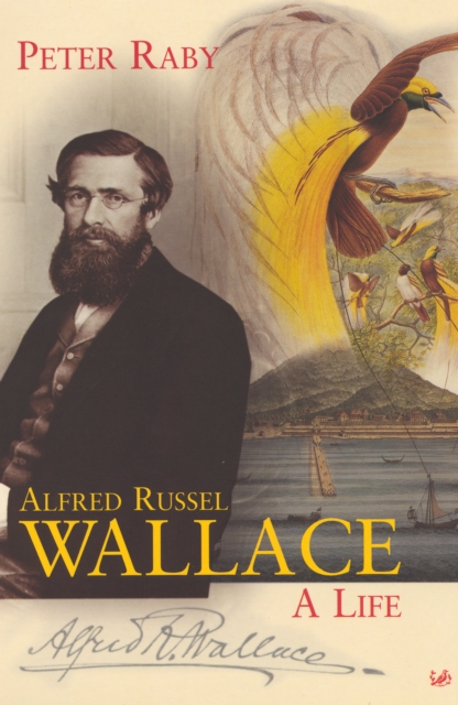 Alfred Russel Wallace, Paperback / softback Book