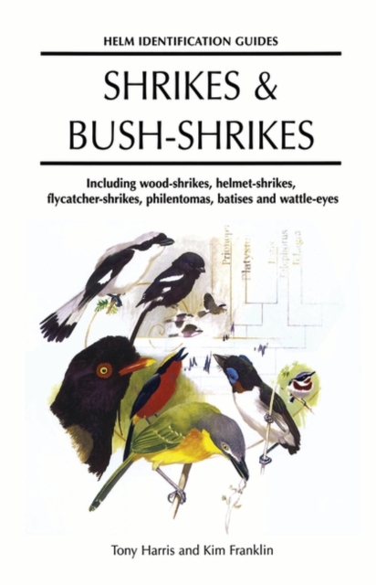 Shrikes and Bush-shrikes : Including Wood-shrikes, Helmet-shrikes, Shrike Flycatchers, Philentomas, Batises and Wattle-eyes, Hardback Book