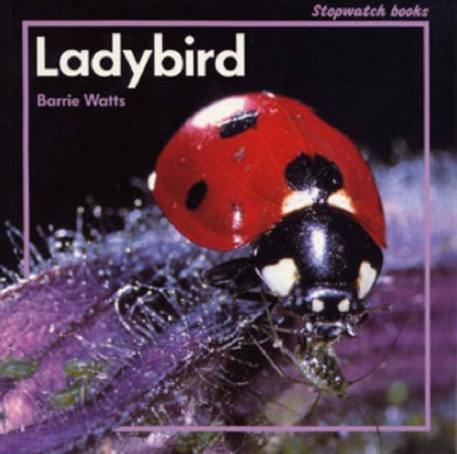 Ladybird, Mixed media product Book