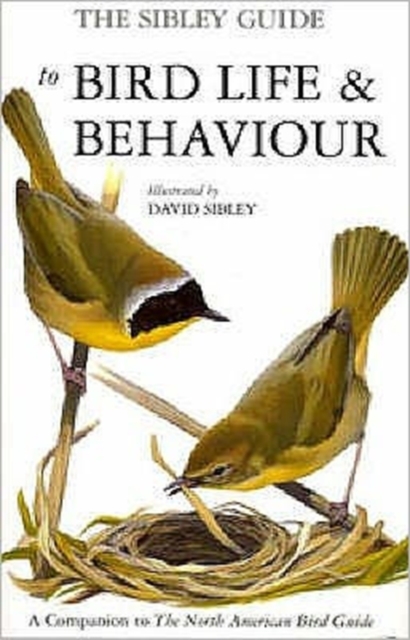 The Sibley Guide to Bird Life and Behaviour, Hardback Book