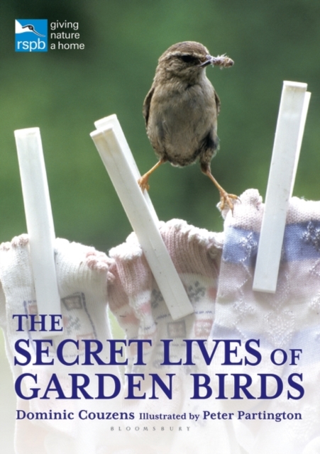 The Secret Lives of Garden Birds, Paperback / softback Book