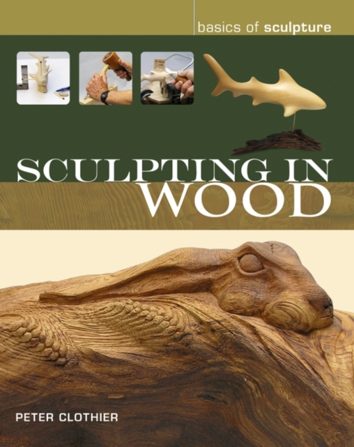 Sculpting in Wood, Paperback / softback Book