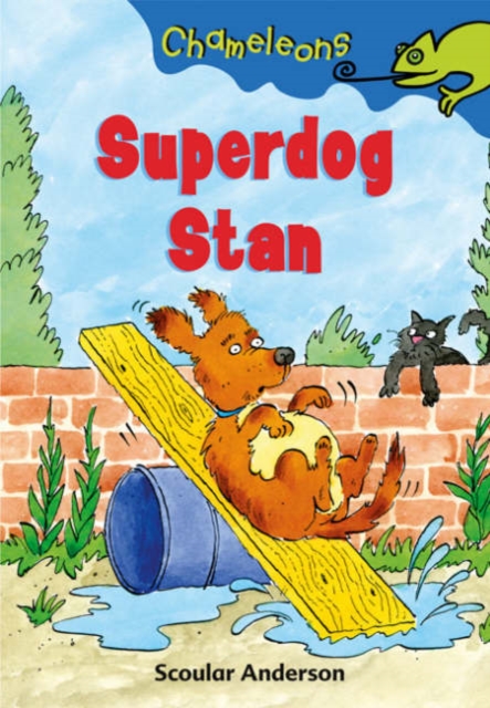 Superdog Stan, Paperback Book