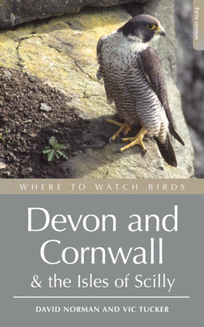Where to Watch Birds in Devon and Cornwall : Including the Isles of Scilly and Lundy, Paperback / softback Book