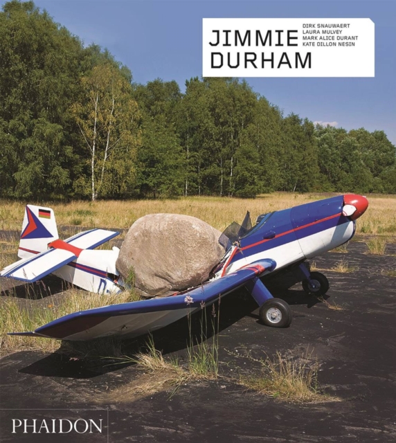 Jimmie Durham : Contemporary Artists series, Hardback Book